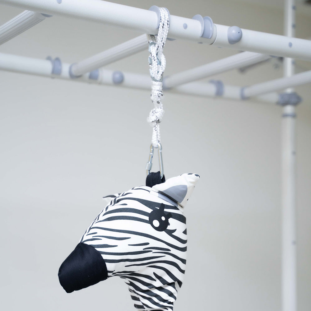 Swing Sets, Gyms, and Slides | Shop Australia