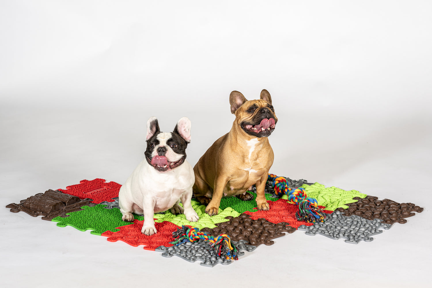interactive-dog-toy