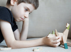 Young boy playing with a wooden magnetic triceratops dinosaur toy, promoting STEM and Montessori learning in Australia.