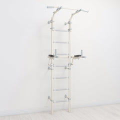 pastel colour swedish climbing ladder with dip station by Tinnitots