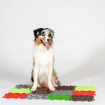 Load image into Gallery viewer, dogs-treat-snuffle-mat
