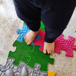 Load image into Gallery viewer, Sensory foot health play mats
